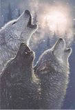 Wolves.jpg image by Autumn_Summers